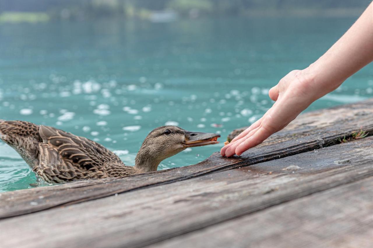 Hotel Winkler-Tuschnig Weissensee Eksteriør billede