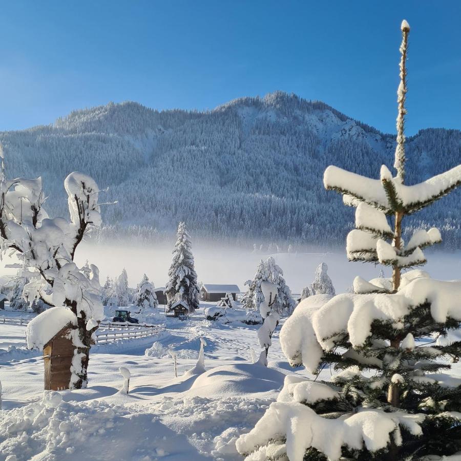 Hotel Winkler-Tuschnig Weissensee Eksteriør billede