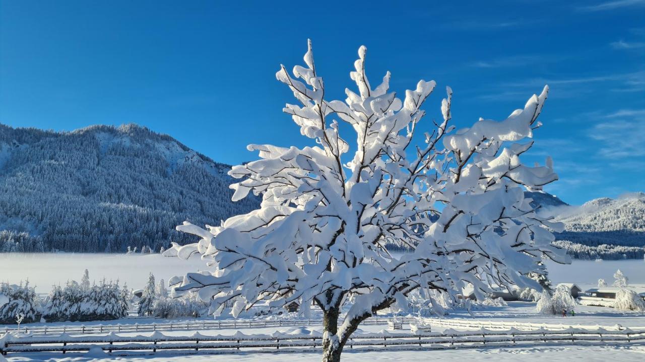 Hotel Winkler-Tuschnig Weissensee Eksteriør billede